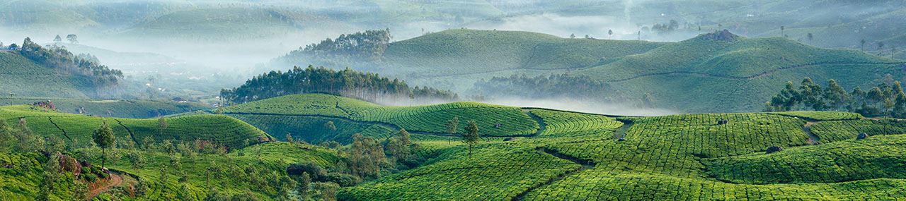6 thema’s voor veerkrachtig beleggen in 2026