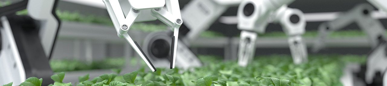 Et si un robot faisait soudain son apparition dans votre jardin?